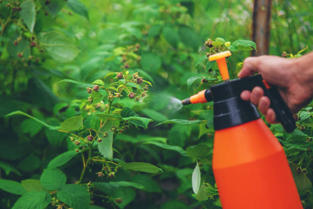 istock A man sprays trees in the garden. Selective focus. 2163049015