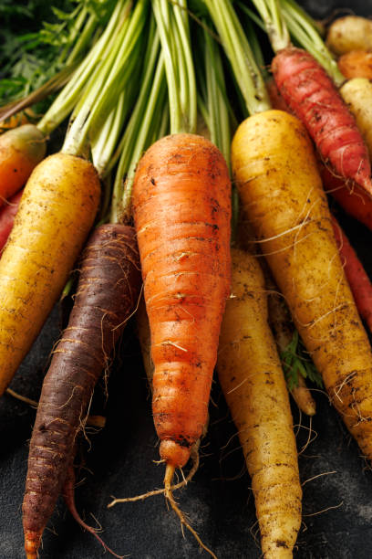 istock Freshly picked Rainbow carrots from kitchen garden. 2163052461
