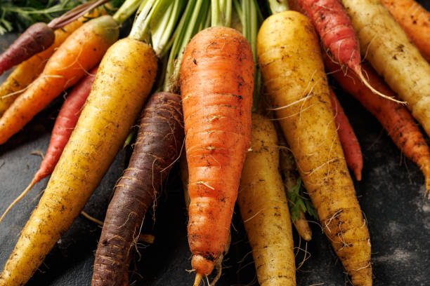 istock Freshly picked Rainbow carrots from kitchen garden. 2163052467