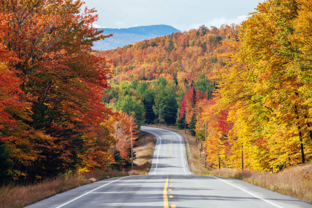 istock Autumn road in Maine 2163052510
