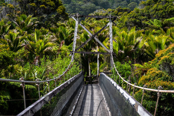 istock Suspension Bridge Over River 2163056585