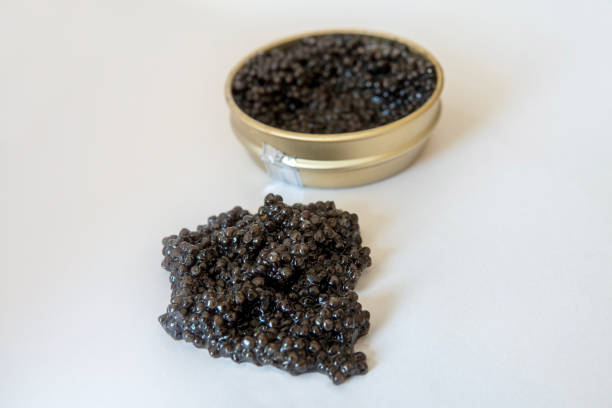 Black caviar in and outside an open tin can on white background. Gourmet seafood delicacy.