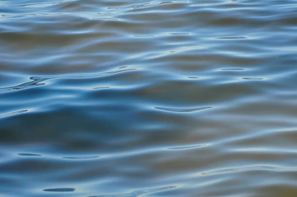 istock Full frame shot water in a lake 2163059225