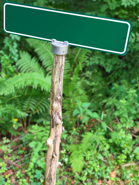 istock Blank street sign 2 2163059639