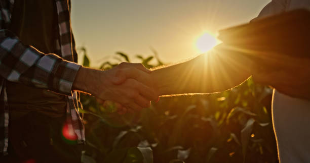 istock Handshake of two farmers against a cornfield at sunset. 2163059645