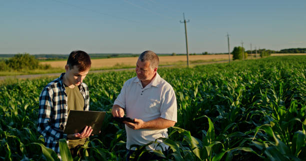 istock Two farmers working in a field, using a laptop and a tablet. Technology in agriculture 2163059708