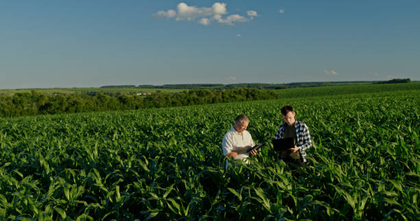 istock Two farmers from different generations collaborating in a cornfield, using a laptop. Concept of learning and knowledge transfer 2163059744