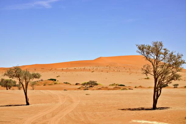 istock Scenic view of desert landscape 2163063031