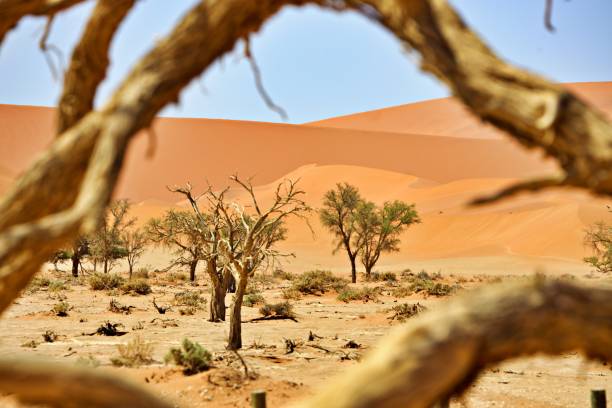 istock Scenic view of desert landscape 2163063033