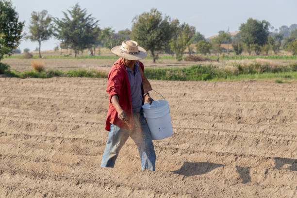 istock Field work: Peasant spreading farm manure to nourish the soil 2163066512