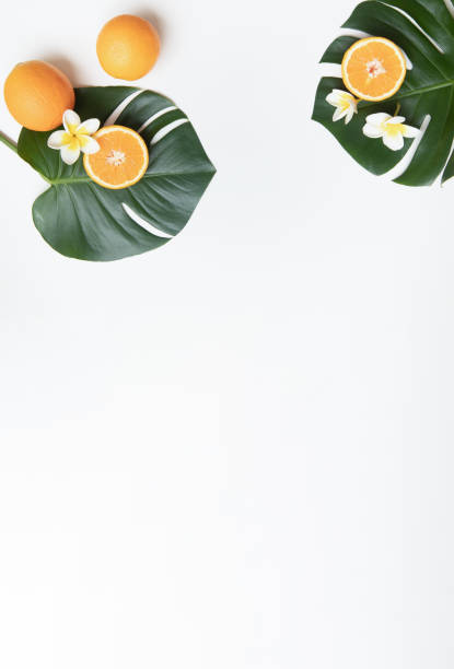 istock Fresh oranges and tropical leaf. Cutted citrus fruit for natural cosmetics. 2163066623