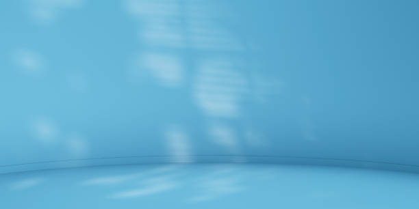 istock Blue minimalist curved studio for product presentation. Empty room with shadows of window frame and palm leaves. 3d room background with copy space. 3d render illustration 2163066996