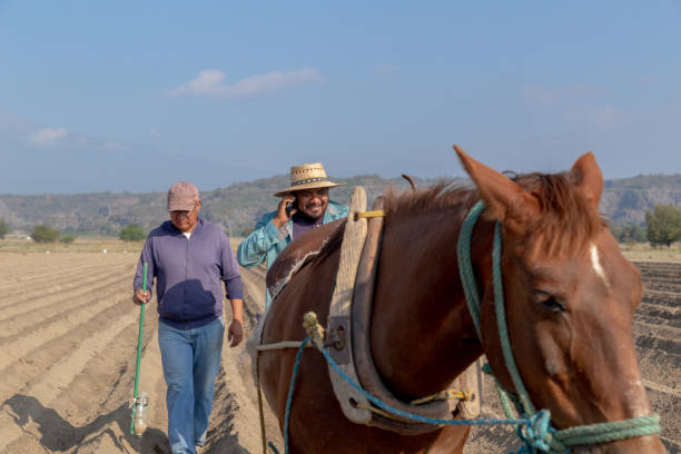 istock Technology in the Field: Farmer Making a Call While Working with a Horse in the Plowing Process 2163067311