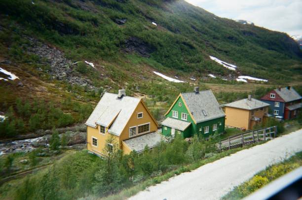 Houses sitting on the hillside in a small Norwegian town.