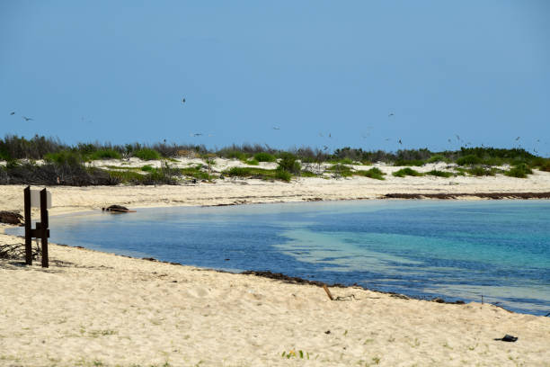istock Dry Tortugas,  Florida 2163076808