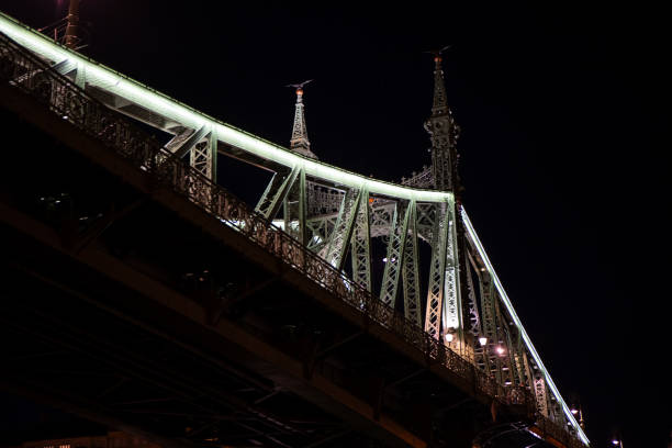 The Liberty Bridge at Budapest in Night