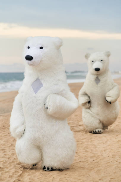 istock Animators dressed as polar bears entertain people on the beach 2163100045