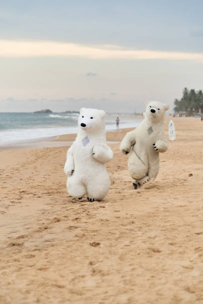 istock Animators dressed as polar bears entertain people on the beach 2163100164