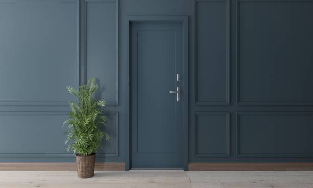 istock Blue door on blue wall decorated with interior plant 2163102467