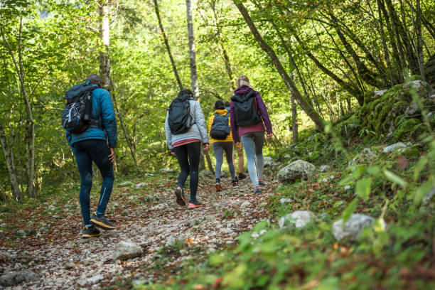 istock Diverse Group of Friends on Forest Hike 2163105871
