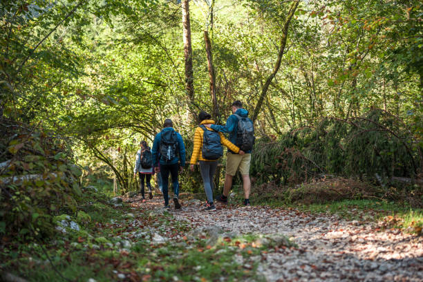 istock Diverse Group of Friends on Forest Hike 2163106098