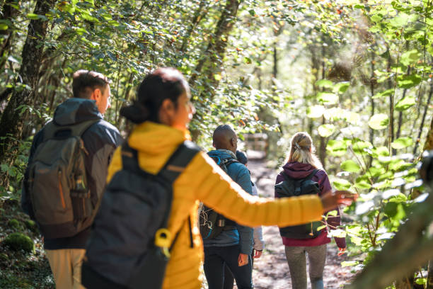 istock Diverse Group of Friends on Forest Hike 2163106099