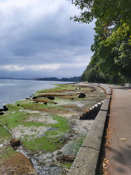 istock Rocks, algae and seaweed seem to glow beneath a dark angry sky. 2163110898