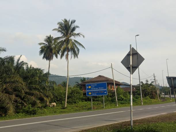 istock Scenic Rural Intersection with Directional Signage 2163126382