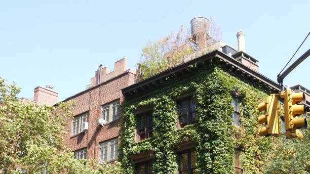 New York City building architecture. Residential house exterior. Real estate in USA. Brick facade. New York City classic building corner architecture. Urban residential house exterior. Real estate property in USA. Typical brick facade, Irving Pl, Manhattan Midtown. Rooftop water tower. Green wall. grapevine texas city stock pictures, royalty-free photos & images