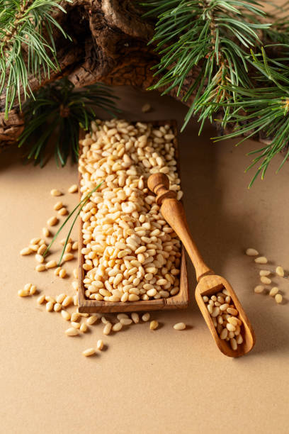 istock Peeled pine nuts with cedar snags and green branches. 2163139652