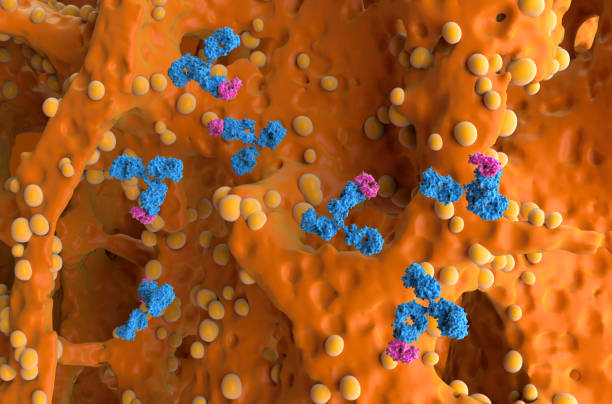 istock Monoclonal antibody treatment in Bone tumor (cancer) - isometric view 3d illustration 2163141393
