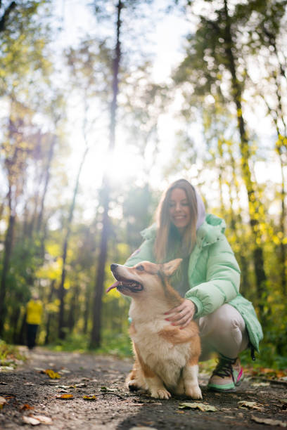 Cute little pet chihuahua is perched on her owner's shoulder and looking around as they are walking through a public park on a rainy, and foggy morning in the summer. They are both wearing bright yellow raincoats to match each other.