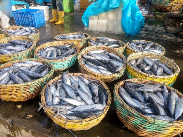 istock Fresh fish in the rattan basket 2163145225