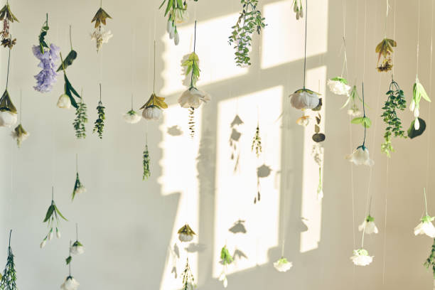 istock Artificial flowers levitating, hanging flowers on a white background, white wall with window shadow. Background, backdrop with copy space. Template, mockup for your advertising, posters 2163146106