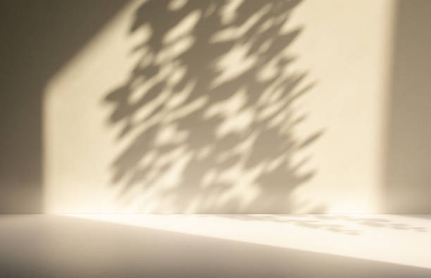 istock Studio style background wall decoration presentation uses white and beige tones. with shadows cast from a nearby window, concept creating a decorative 2163148223