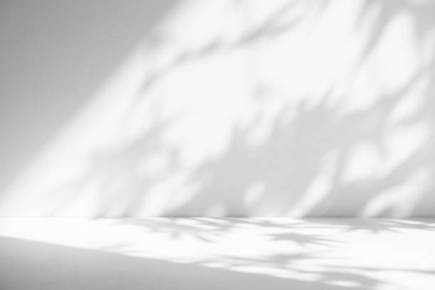 istock Studio style background wall decoration presentation uses white tones. with shadows cast from a nearby window, concept creating a decorative backdrop. 2163148229
