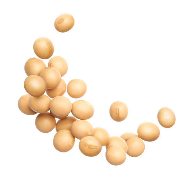 istock Soybeans splashing against white background 2163148498