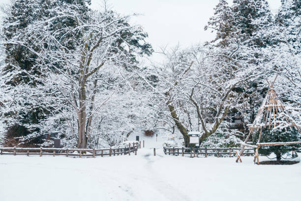 istock White snow on tree branches in winter season. natural background 2163148820