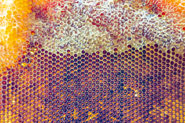 Blockchain, big data technology, abstract hexagon pattern background. Digitally generated image. 3d render.