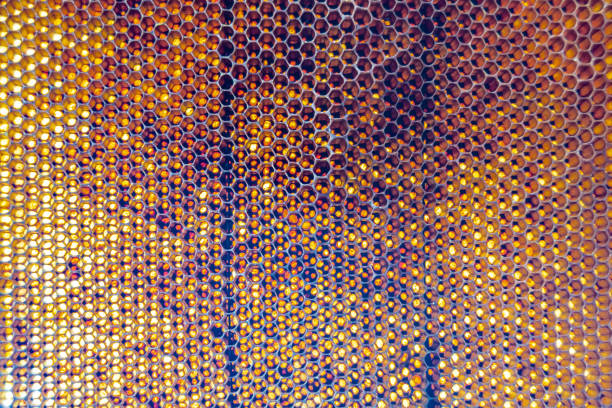 Drop of bee honey drip from hexagonal honeycombs filled with golden nectar, honeycombs summer composition consisting of drop natural honey, drip on wax frame bee, drop of bee honey drip in honeycombs