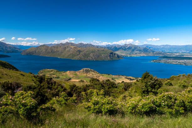 istock Grassy Hills with Mountain Background 2163152685
