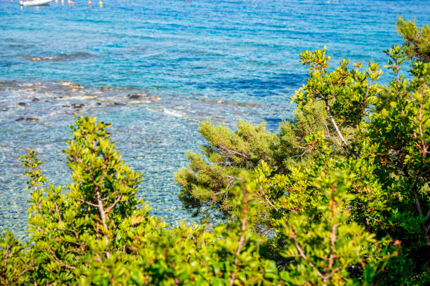 View of the clear turquoise waters of Cala Gonone. Part of the municipality of Dorgali, in the province of Nuoro (Sardinia Island), it is famous for its beaches, resorts and its sea clear waters.