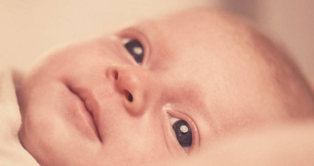 istock Portrait of a baby. 2163155809