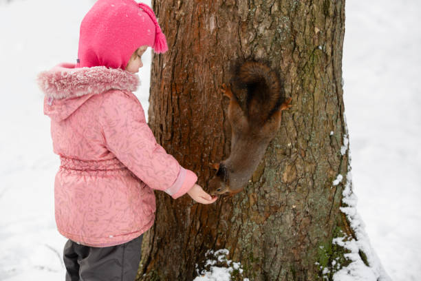 cute funny little animal red squirrel sitting on tree trunk in park closing eyes