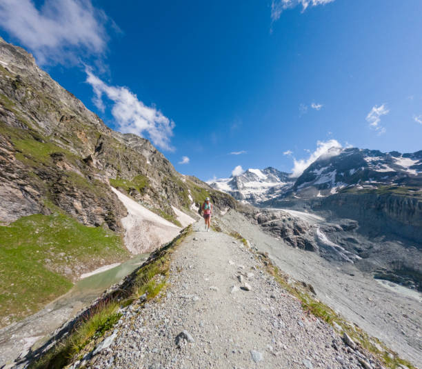 istock Female Trail Runner on Rocky Mountain Path with Glacier View 2163163289