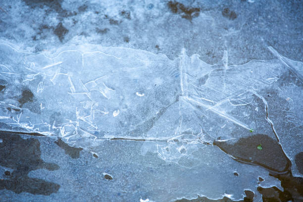 Thin shards of cracked ice scattered across a frozen surface, creating a delicate yet intricate pattern