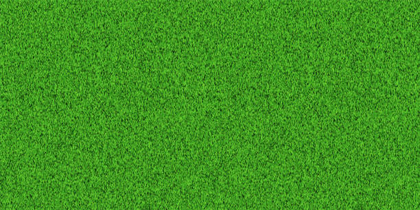 green grass field background top view for soccer, golf, baseball, football. realistic summer fresh lawn carpet. green field wallpaper. vector illustration - trávník stock ilustrace