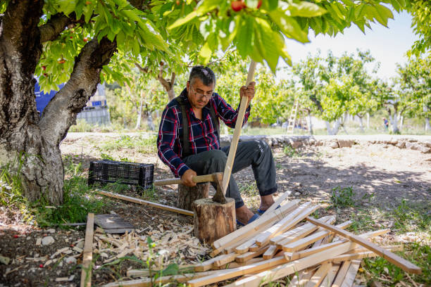 istock Man Chopping Wood 2163168418