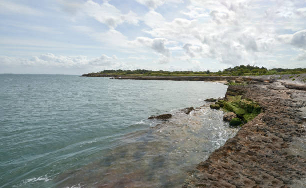Coastline picture on charente maritime  atlantic ocean  with rocks and algae