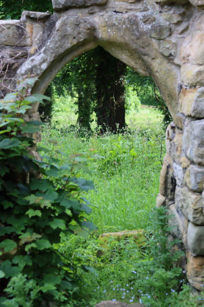 istock View through an old stone archway in an overgrown ruin 2163176551